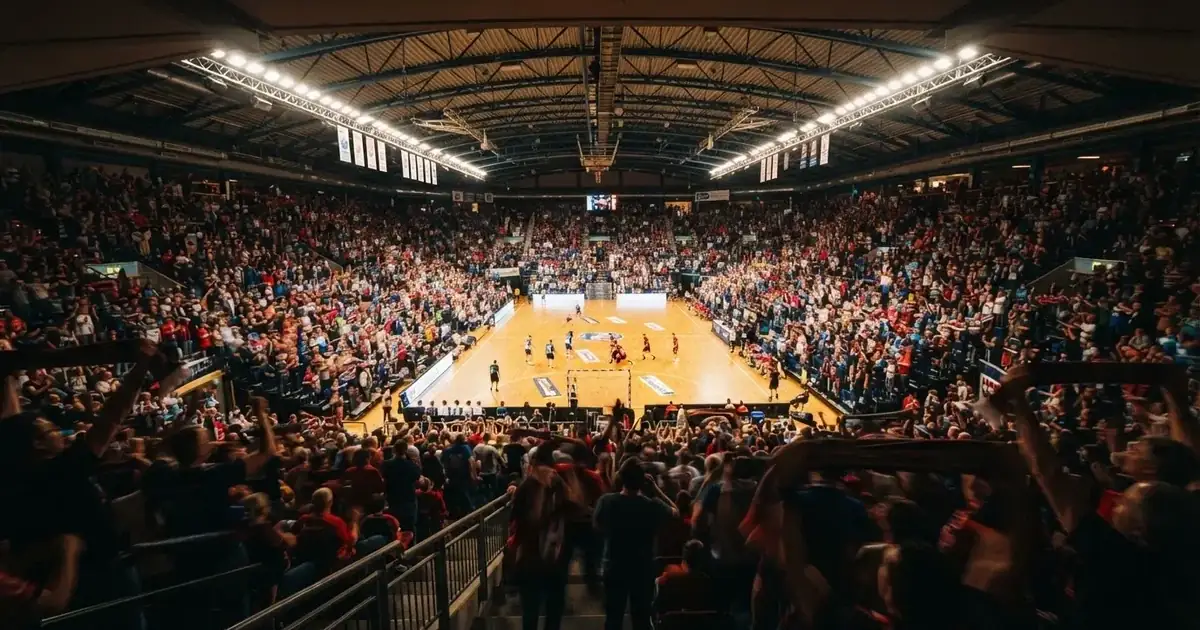 Live betting in New Zealand 2026 — paths, tools and what each costs